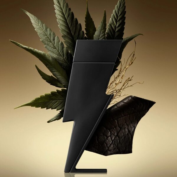 Carolina-Herrera-Bad-Boy-Le-Parfum--la-jolie-perfumes05