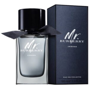 Burberry Mr Burberry Indigo 100ml