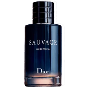 Sauvage-by-Christian-Dior-EDP-100ml-la-jolie-perfumes