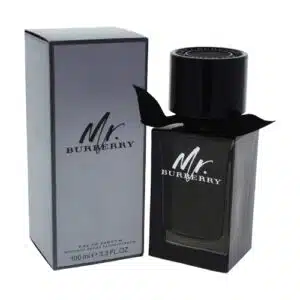 Burberry Mr Burberry Eau de Parfum 100ml