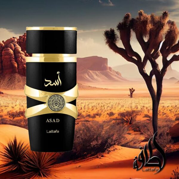 Lattafa-Asad-la-jolie-perfumes04